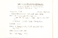 蔓黃菀藏品圖，第2張