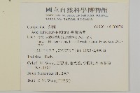 臺灣馬蘭藏品圖，第2張