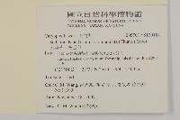天蓬草、雀舌草藏品圖，第2張