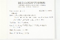 登錄號:S130199藏品圖，第2張