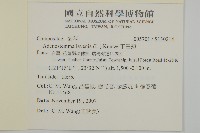 下田菊藏品圖，第2張