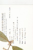 登錄號:S130224藏品圖，第2張