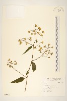 登錄號:S130225藏品圖，第1張