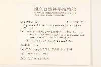 塔山澤蘭藏品圖，第2張