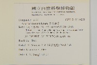 臺灣馬蘭藏品圖，第2張