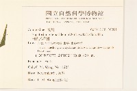 田代氏澤蘭藏品圖，第2張