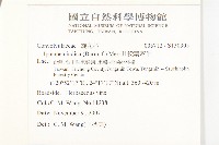 銳葉牽牛藏品圖，第2張