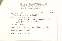 鵝仔草藏品圖，第2張