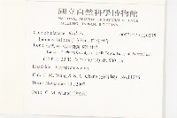 白花牽牛藏品圖，第2張