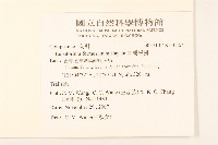 臺灣澤蘭藏品圖，第2張