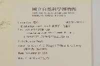 地膽草、毛蓮菜藏品圖，第2張