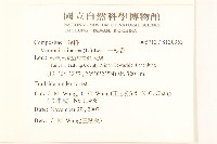 一枝香藏品圖，第2張