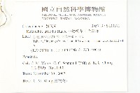 小燈籠草、大還魂藏品圖，第2張