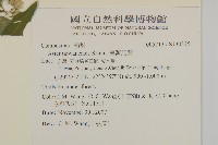 臺灣馬蘭藏品圖，第2張