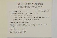 下田菊藏品圖，第2張