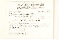 一枝香藏品圖，第2張