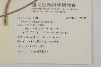 茵蔯蒿藏品圖，第2張