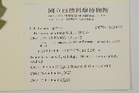 刺果衛矛藏品圖，第2張