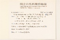 山苦藚、假福王草藏品圖，第2張