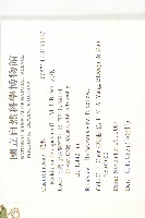 天花藏品圖，第2張