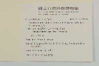 卷耳藏品圖，第2張