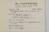 阿里山油菊藏品圖，第2張