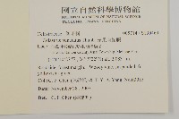 光果南蛇藤藏品圖，第2張