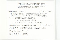 臺灣青莢葉藏品圖，第2張