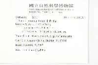 東瀛珊瑚藏品圖，第2張