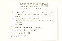 玉山毛蓮菜藏品圖，第2張