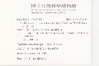 玉山筷子芥藏品圖，第2張