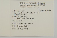 刺裸實、變葉裸實藏品圖，第2張