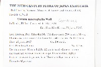 梜木藏品圖，第2張