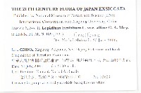 光果寬葉獨行菜藏品圖，第2張
