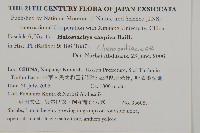 登錄號:S130662藏品圖，第2張