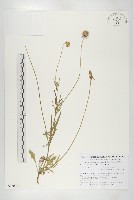 登錄號:S130663藏品圖，第1張