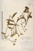 登錄號:S130710藏品圖，第1張