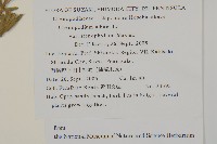 登錄號:S130756藏品圖，第2張