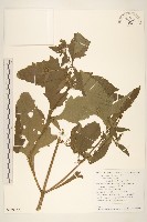 豨簽藏品圖，第1張