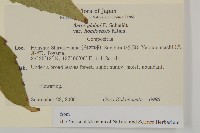 登錄號:S130779藏品圖，第2張