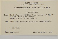 及己藏品圖，第2張