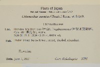 及己藏品圖，第2張