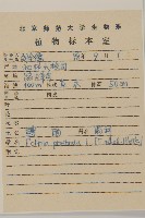 鱧腸藏品圖，第2張