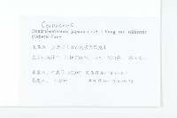 四照花藏品圖，第2張