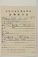 石縫蠅子草藏品圖，第2張