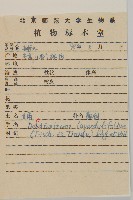 姜菱菊藏品圖，第2張