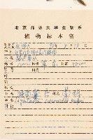 戟葉橐吾藏品圖，第2張