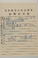 山尖子藏品圖，第2張