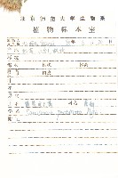 蓖苞風毛菊藏品圖，第2張
