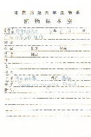 華北鳳毛菊藏品圖，第2張